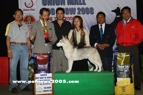 img_8112.jpg